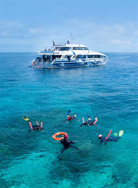 Outer Reef Snorkel Day Trip From Cairns Divers Den