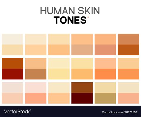 Skin Tone Color Chart Human Skin Texture Color Vector Image