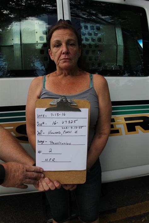 Arrested In Prostitution Sting Along Hwy Corridor New Port Richey FL Patch