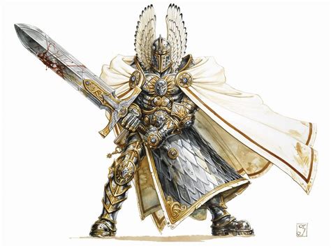 Absolute Best Race To Play For The Paladin 5e Dandd Character Class