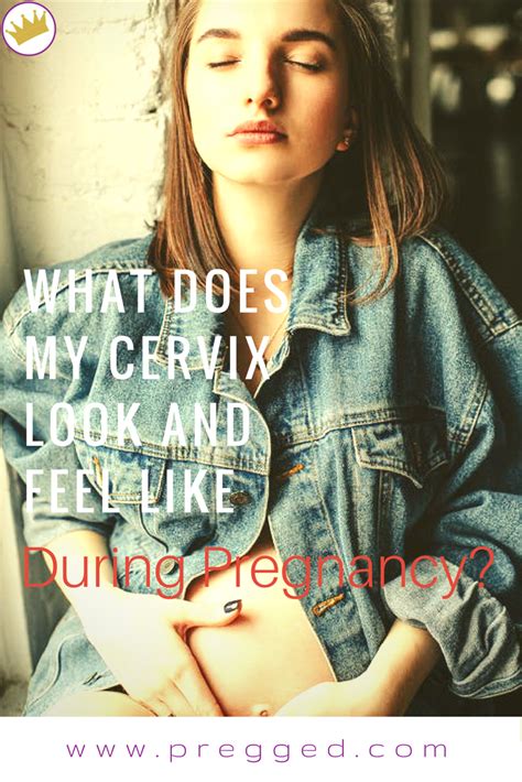 What Does My Cervix Look Like And Feel Like During Pregnancy Pregnancy Info First Pregnancy