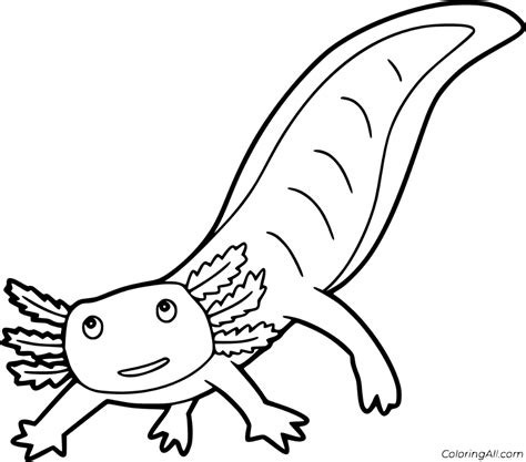 Axolotl Coloring Sheet – Coloring Page