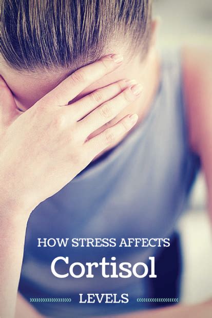 How Stress Affects Cortisol 2ndact Health And Testing Services