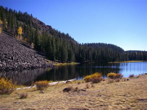 Utah Water Log Boulder Mountain