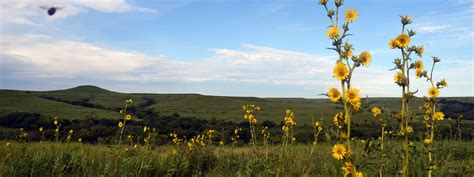 The Nature Conservancy In Kansas