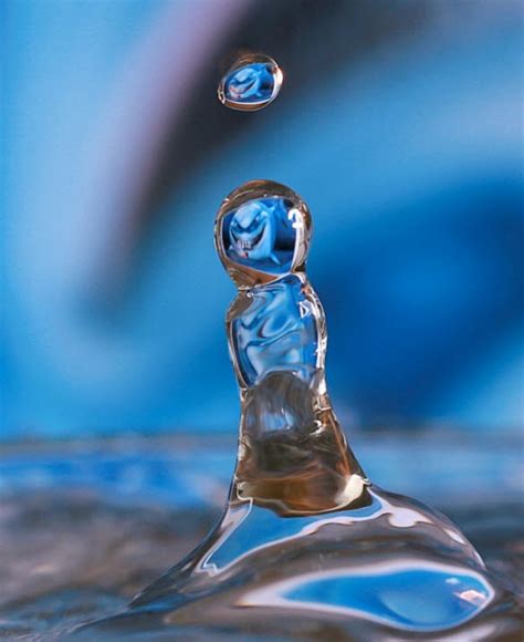 Free Picture Photographydownload Portrait Gallery Water Drops