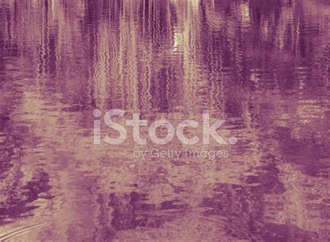 Abstract Trees Reflection On Water Stock Photos