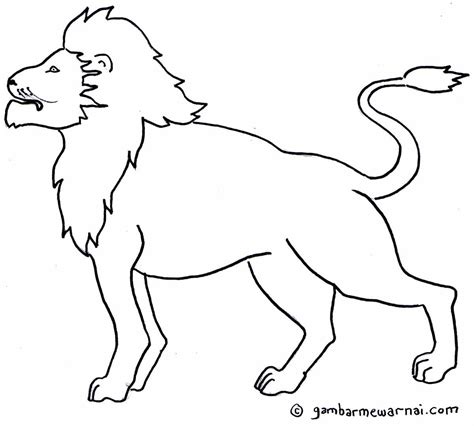 Mewarnai Singa Gambar Hewan Menggambar Singa Cara Menggambar