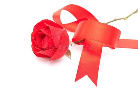 Red Rose With Red Ribbon Picture Image 15703092