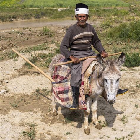 Man On Donkey Iran Editorial Stock Photo Image Of Male 176275333