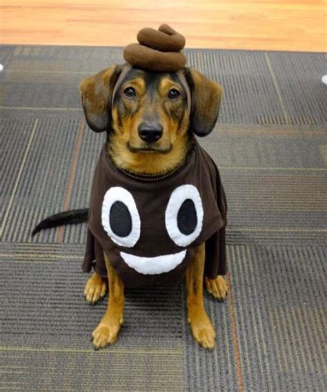 50 Genius Costume Ideas For Everyone From Your Puppy To Your Squad