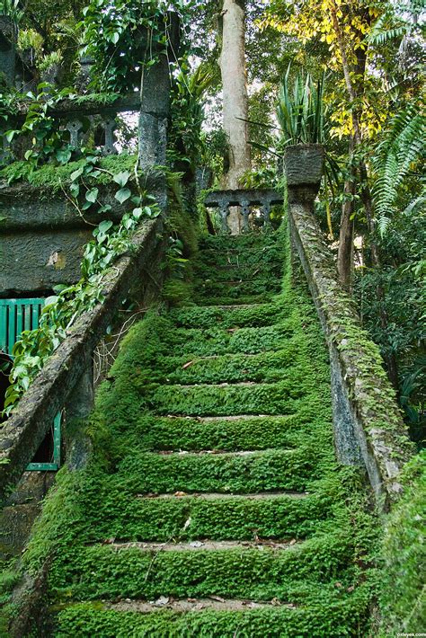 Green Stairs Picture By Friiskiwi For Nature Vs Human