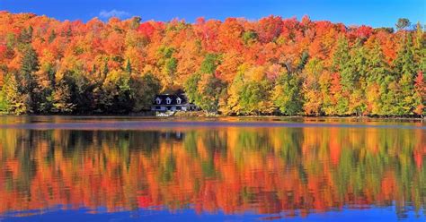 The Fall Foliage Is Officially At Its Peak In These Quebec Towns Fall