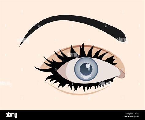 Illustration Close Up Female Eye Isolated Vector Stock Photo Alamy