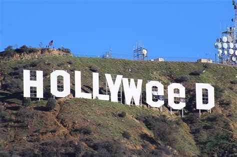 Eds Attic Hollyweed Sign Photos