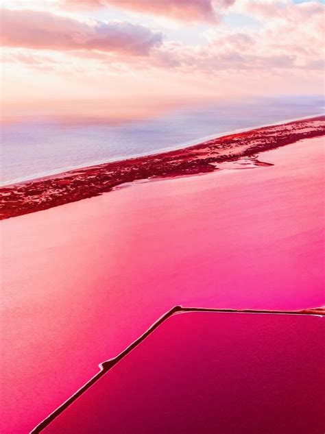 Magic Pink Lagoon In Western Australia Coast Australia Australia