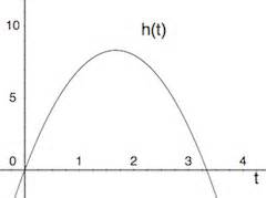 Quiz & worksheet