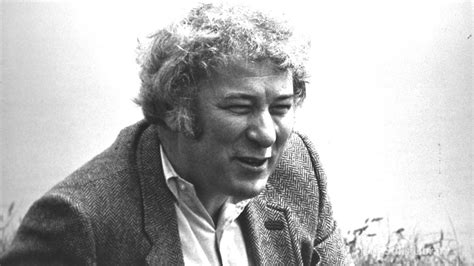 RtÉ Archives Arts And Culture Seamus Heaney Formative Years