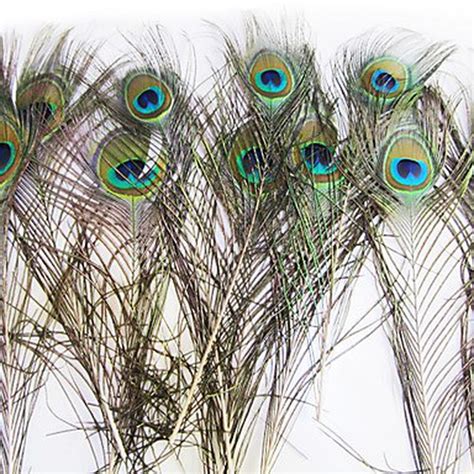 plumas de pavo real 12 unidades materiales varios — floresfrescasonline