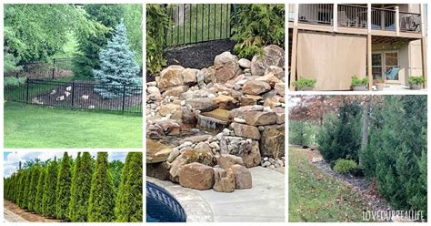 28 Cheap Ways To Block A Neighbors View Backyard Privacy ⋆ Love Our