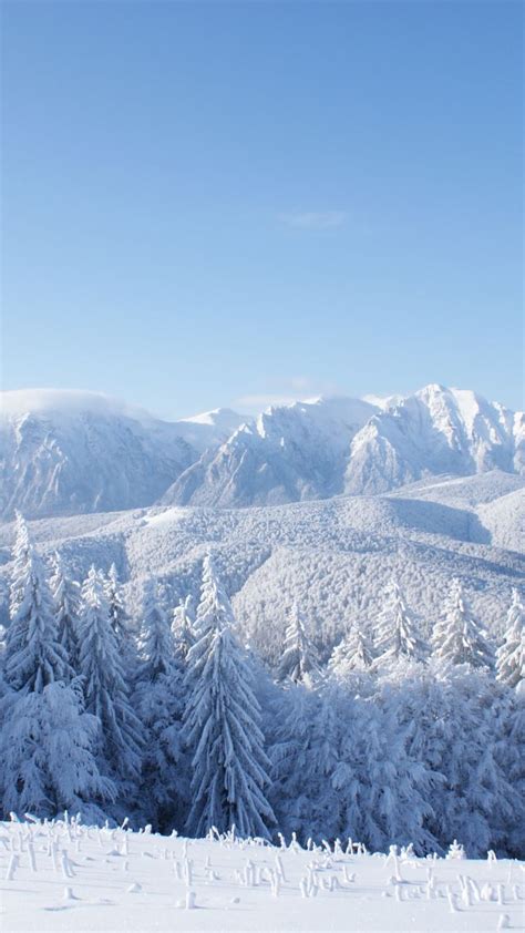 Обои горы зима Mountains Forest Trees Snow Winter 4k Природа 17413