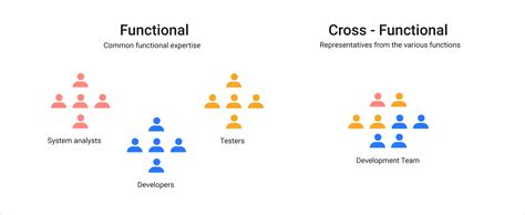 Why Cross Functional Teams Are Important For Project Success