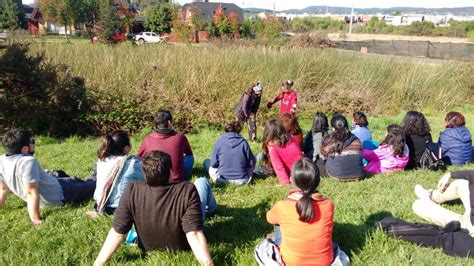 Descubre el apasionante mundo de las aves con un taller muy dinámico. Escuela de Humedales finaliza sus talleres aprendiendo ...