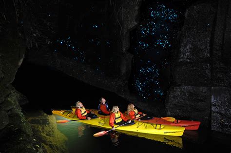 The 10 Most Extraordinary Glow Worm Caves In The World