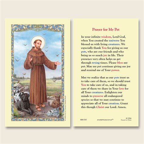 Check spelling or type a new query. Gerffert Saint Francis of Assisi Prayer for My Pet Holy Card 25pkg Gift Set