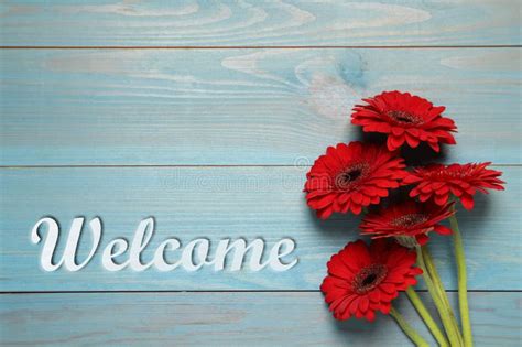 Welcome Team Flowers Stock Photos Free And Royalty Free Stock Photos