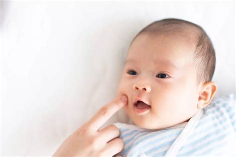 Rooting Reflex In Babies When And How Does It Develop Being The Parent