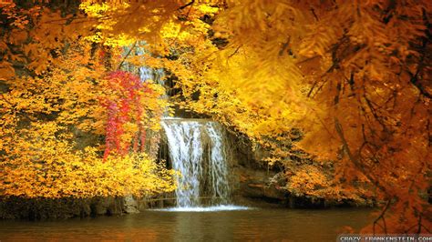 Autumn Scenes Wallpapers 63 Background Pictures