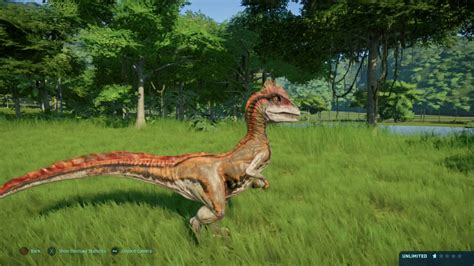New Jungle Deinonychus Skin Jurassic World Evolution Youtube