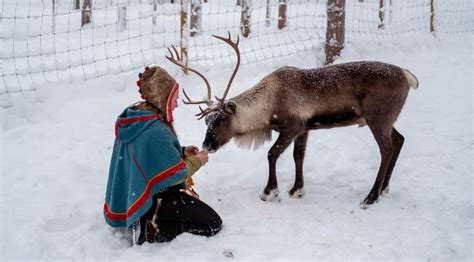 Sami People Of Lapland History Culture And Festivities