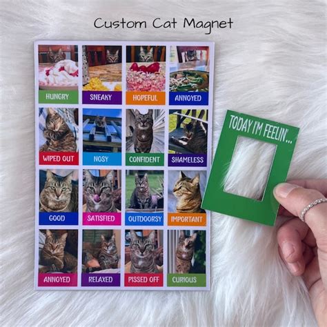 Custom Cat Magnets Funny Cat Magnets Cat Themed Ts Etsy