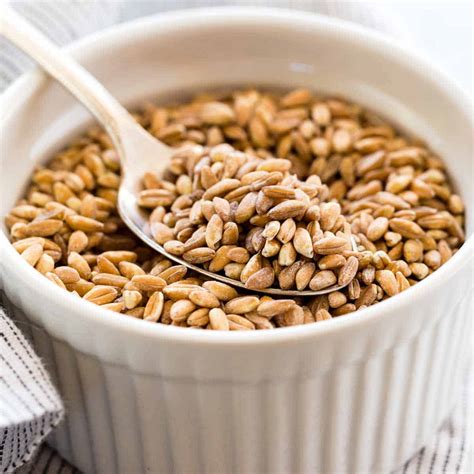 What Is Farro An Ancient Grain Worth Knowing About Jessica Gavin