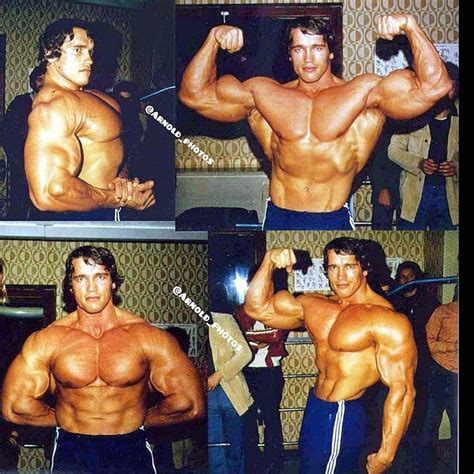 👑𝑨𝒓𝒏𝒐𝒍𝒅𝒑𝒉𝒐𝒕𝒐𝒔👑 👑𝑾𝒆𝒍𝒄𝒐𝒎𝒆👑 On Instagram 👑the King 1974 Arnold