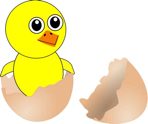 What new shows are coming to cartoonnetwork? Clipart - Funny Chick Cartoon Newborn Coming Out from the Egg