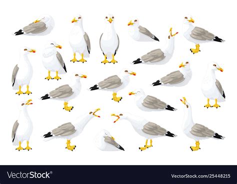 Seagull Sea Gull Set Royalty Free Vector Image