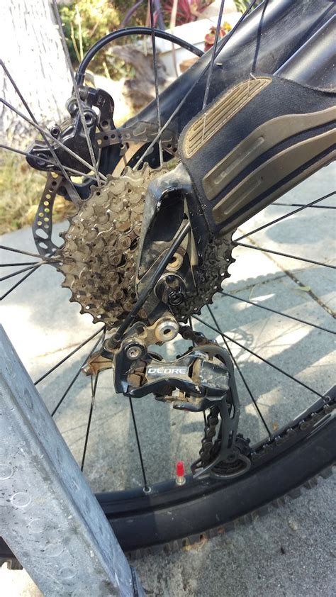 Ryan park are worth a visit. in San Mateo, California, United States - photo by ...