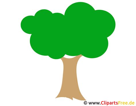 árbol De Imágenes Prediseñadas Png Imágenes Para La Escuela