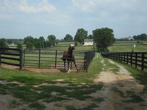 Kentucky Travels Old Friends Horse Farm Lexington