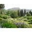 Historical And Regency Romance UK Ninfa The Most Romantic Garden In 