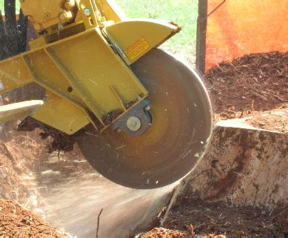 Affordable pricing · high quality service · no obligation Red Deer Stump Grinding | Tree service, Tree removal ...