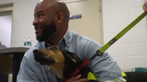 Virginia Program Pairs Inmates And Shelter Dogs To Work Together