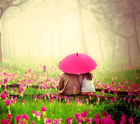 Love Couple In Pink Garden Wallpaper Hd Love Wallpapers 4k Wallpapers Images Backgrounds Photos