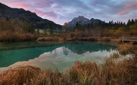Zelenci Nature Reserve Slovenia