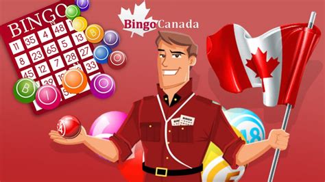 Bingo online for money canada. Bingo Canada Review & Ratings | $50 Free No Deposit Signup Bonus