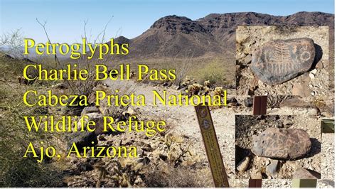 Petroglyphs Cabeza Prieta National Wildlife Refuge Ajo Az Charlie