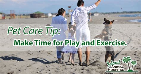 Contact island animal hospital on cocoa beach on messenger. Make time for play and exercise, it's good for you and ...